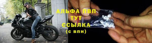 прущие крисы Новокубанск