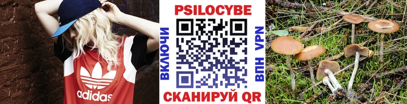 Купить закладки  Анапа  Галлюциногенные грибы прущие грибы 